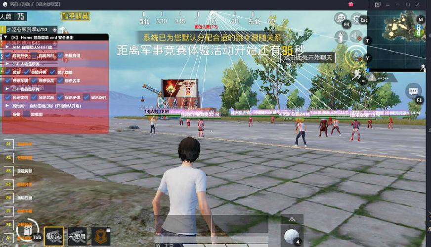 和平精英《魔法》辅助